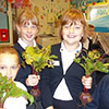 Vegetable growing