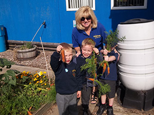 playzone vegetable garden